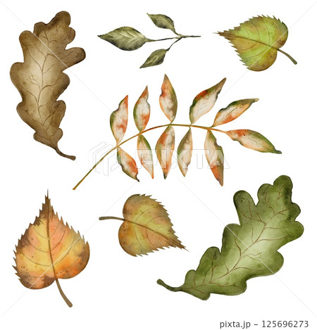 Colorful autumn leaves in watercolor pattern perfect for textile and wrapping design 125696273