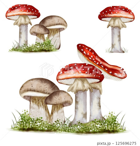 Colorful autumn mushrooms in a seamless watercolor pattern for textile design and packaging 125696275