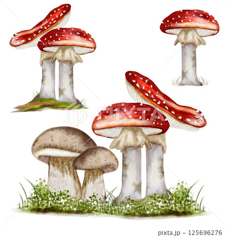 Vibrant autumn watercolor mushrooms in seamless textile pattern design for packaging and wrapping 125696276