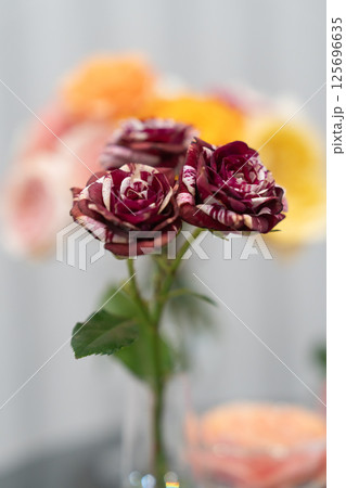 日本の美しい桜と鮮やかなバラの花 日本の美しい桜と鮮やかなバラの花 125696635