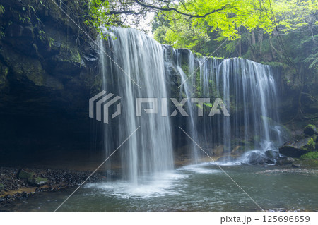 新緑の鍋ヶ滝　水のカーテン 125696859