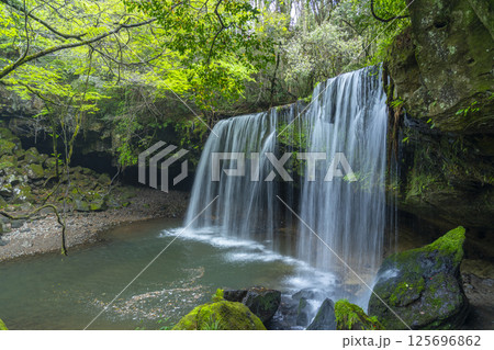 新緑の鍋ヶ滝　水のカーテン 125696862