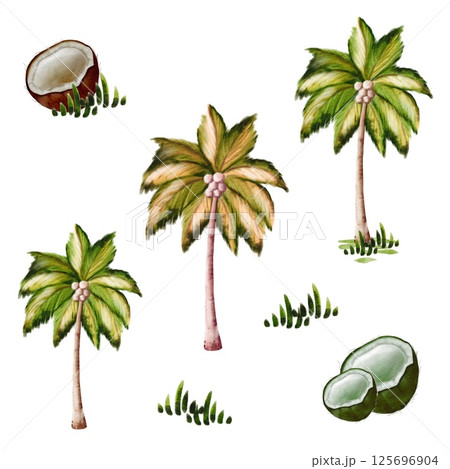 Tropical palm trees and coconuts in a natural landscape 125696904