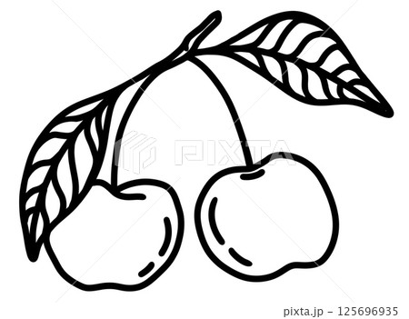 Two ripe cherries hanging from a branch with green leaves in a simple illustration 125696935