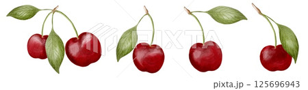 Fresh cherries hanging from branches with vibrant green leaves at a summer orchard 125696943