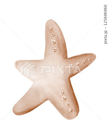Exploring a delicate baby blue starfish resting on a sandy ocean floor 125696960