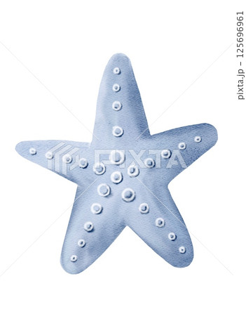 Elegant baby blue starfish captured in gentle watercolor strokes on a serene marine canvas Elegant baby blue starfish captured in gentle watercolor strokes on a serene marine canvas 125696961