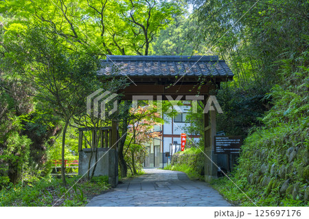白川水源　白川吉見神社　参道 125697176