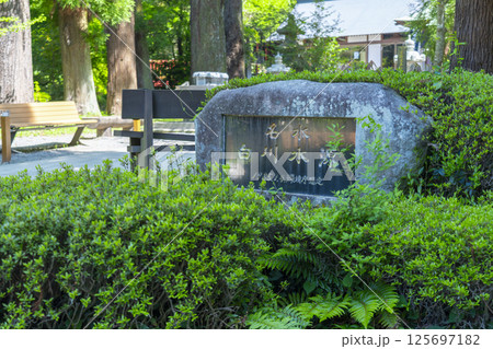 白川水源　清らかな湧水 125697182