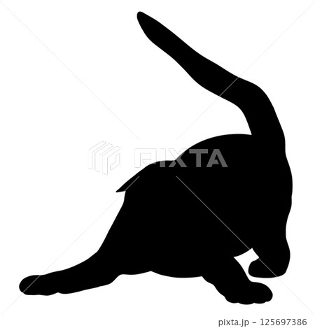 Silhouette of a cat playing with a seamless pattern design on white background 125697386