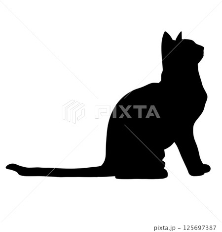 Silhouette of a cat in a standing pose against a simple white background Silhouette of a cat in a standing pose against a simple white background 125697387