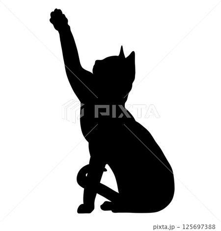 Silhouette of a cat reaching up in a playful and curious manner Silhouette of a cat reaching up in a playful and curious manner 125697388