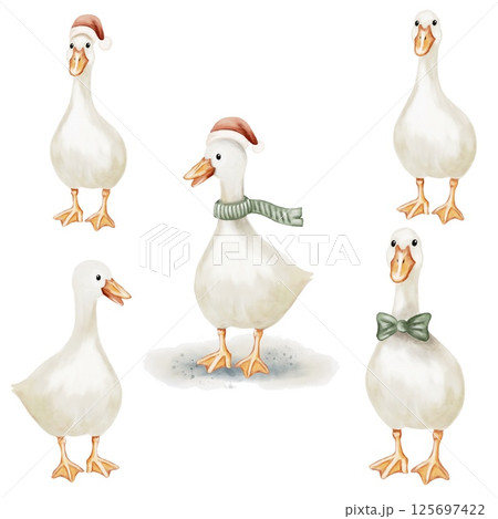 Charming watercolor geese wearing seasonal accessories in a playful design 125697422