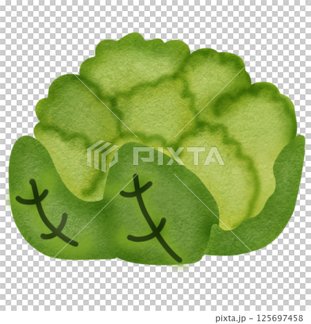 vegetable vegetable 125697458