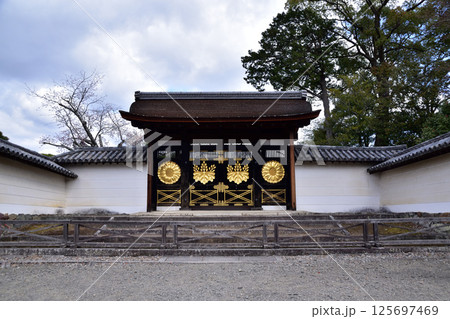 京都・醍醐寺の三宝院唐門 京都・醍醐寺の三宝院唐門 125697469