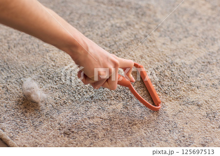 Cleaning Carpet Fibers Effective Techniques for Home Care to Maintain a Fresh Look and Feel 125697513