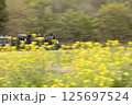 菜の花の中を走るSLもおか 125697524