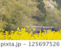 菜の花の中を行くSLもおか 125697526