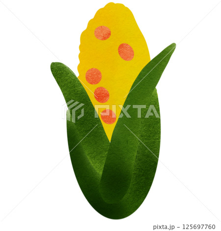 vegetable 125697760
