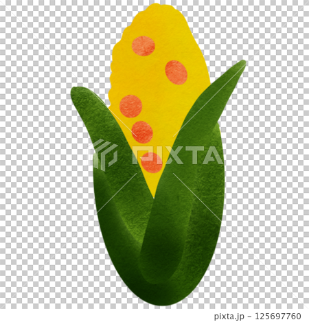 vegetable 125697760