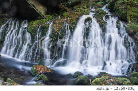 秋の元滝伏流水 秋の元滝伏流水 125697836