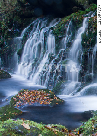 山の清水 山の清水 125697837