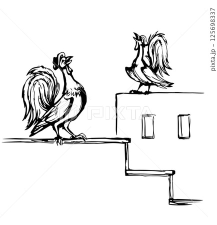 Vector drawing. Singing cock at morning 125698337