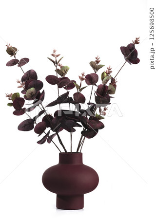 A bunch of dried dark flowers in a burgundy vase isolated on a white background. Simple and minimal home decoration. 125698500