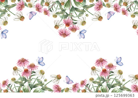 Rectangular frame with a bouquet of echinacea and a butterfly. Isolated watercolor illustration of bouquets for the design of packaging of cosmetic products, sweets, printing on clothes. 125699363