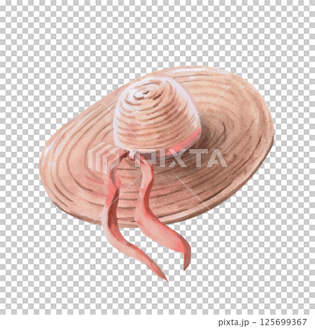 Summer women's straw hat with a pink ribbon. Isolated watercolor illustration on the theme of recreation for the design of shops, tourist sites, magazines. 125699367
