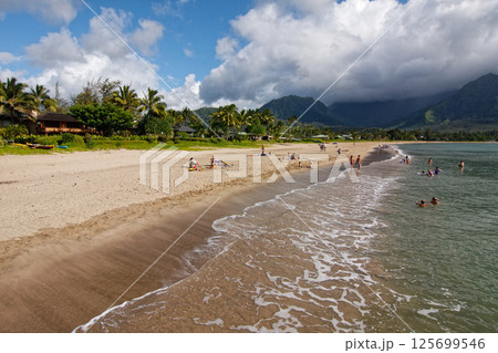 カウアイ島　ハナレイ・ビーチ・パーク 125699546