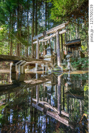 宝池寺八大竜王宮 125700139