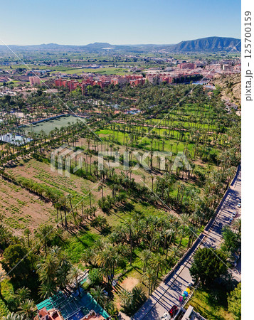 Aerial view of Orihuela townscape during sunny day. Spain 125700159
