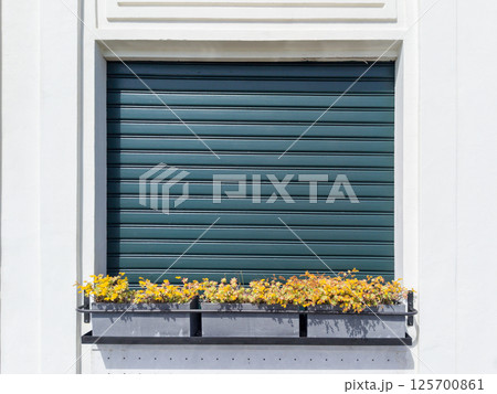 Green Shuttered Window with Flower Box on White Wall Green Shuttered Window with Flower Box on White Wall 125700861