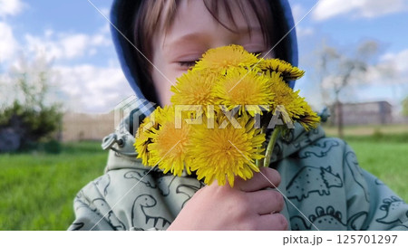 Cute Little Boy Picks Flowers In A Field On A Background Of Sky. Child looks at the dandelion flowers and smiles. small child, boy with yellow flowers 125701297