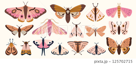 Set with various moths, hawkmoths and butterflies in soft pink brown palette. Nocturnal insect collection. Trendy modern vector illustration isolated on white background, hand drawn, flat design Set with various moths, hawkmoths and butterflies in soft pink brown palette. Nocturnal insect collection. Trendy modern vector illustration isolated on white background, hand drawn, flat design 125702715
