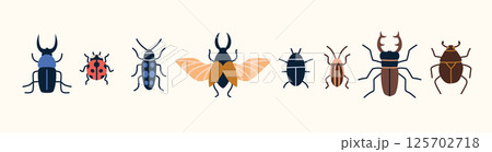 Set with beetles like stag beetle, ladybug, dung beetle, Colorado potato beetle, scarab and winged beetle. Trendy modern vector illustration isolated on white background, hand drawn, flat design Set with beetles like stag beetle, ladybug, dung beetle, Colorado potato beetle, scarab and winged beetle. Trendy modern vector illustration isolated on white background, hand drawn, flat design 125702718