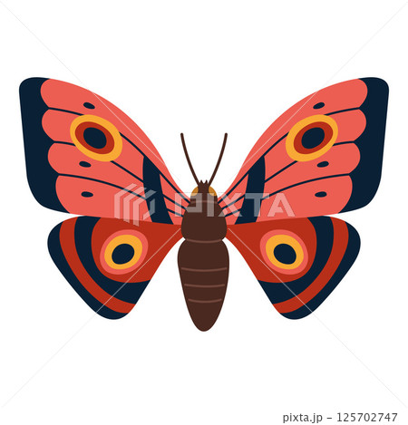 Exotic red moth with yellow circular spots, Elegant tropical butterfly. Modern vector illustration isolated on white background, hand drawn, flat design Exotic red moth with yellow circular spots, Elegant tropical butterfly. Modern vector illustration isolated on white background, hand drawn, flat design 125702747