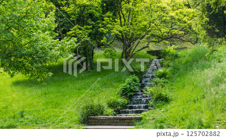 Little waterfall in the summer park. Nature background. Falls with clean water in sunny day and much green trees around. 125702882