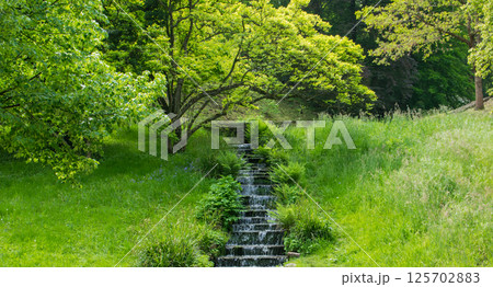 Waterfall in the summer park. Nature background. Falls with clean water in sunny day and much green trees around. 125702883