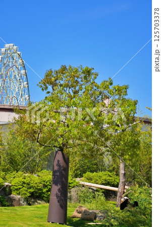 アドベンチャーワールドの風景 125703378