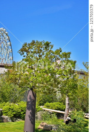 アドベンチャーワールドの風景 アドベンチャーワールドの風景 125703379