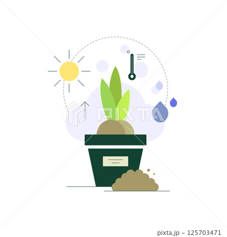 Plant growing. Seedling in pot. Sunlight and watering. Growing conditions 125703471