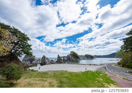 岩手県/ 春の浄土ヶ浜（浄土浜・浄土ケ浜） 125703683