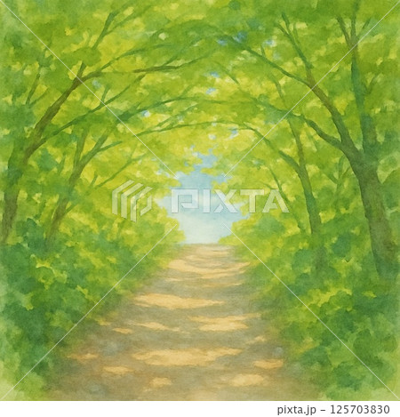 新緑の木のトンネル 125703830