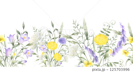 Wildflowers bellflower, dandelion, yarrow, mouse pea and meadow grasses. Hand drawn isolated watercolor seamless border of yellow lilac field flower Horizontal banner with copy space for packing tape Wildflowers bellflower, dandelion, yarrow, mouse pea and meadow grasses. Hand drawn isolated watercolor seamless border of yellow lilac field flower Horizontal banner with copy space for packing tape 125703996