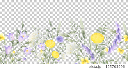 Wildflowers bellflower, dandelion, yarrow, mouse pea and meadow grasses. Hand drawn isolated watercolor seamless border of yellow lilac field flower Horizontal banner with copy space for packing tape Wildflowers bellflower, dandelion, yarrow, mouse pea and meadow grasses. Hand drawn isolated watercolor seamless border of yellow lilac field flower Horizontal banner with copy space for packing tape 125703996