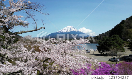 精進湖と桜と富士山ドローン空撮 精進湖と桜と富士山ドローン空撮 125704287