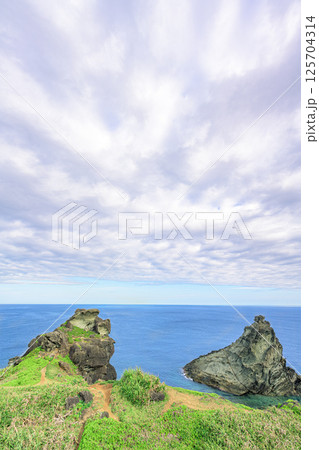 曇り空に映える御神崎の緑の岬と青い海　ふちぶい岩　石垣島 125704314