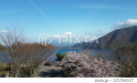 本栖湖と桜と富士山ドローン空撮 125704317